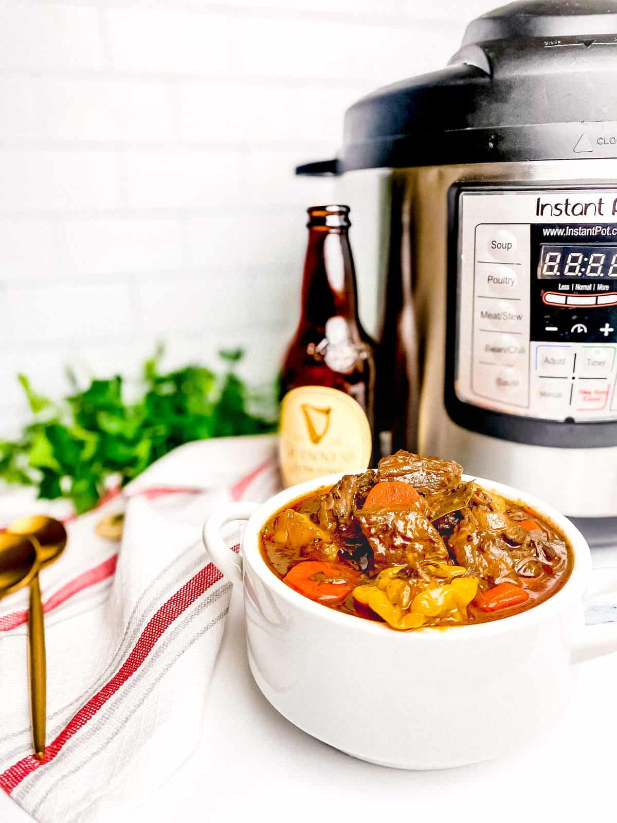 instant pot guinness beef stew_8823